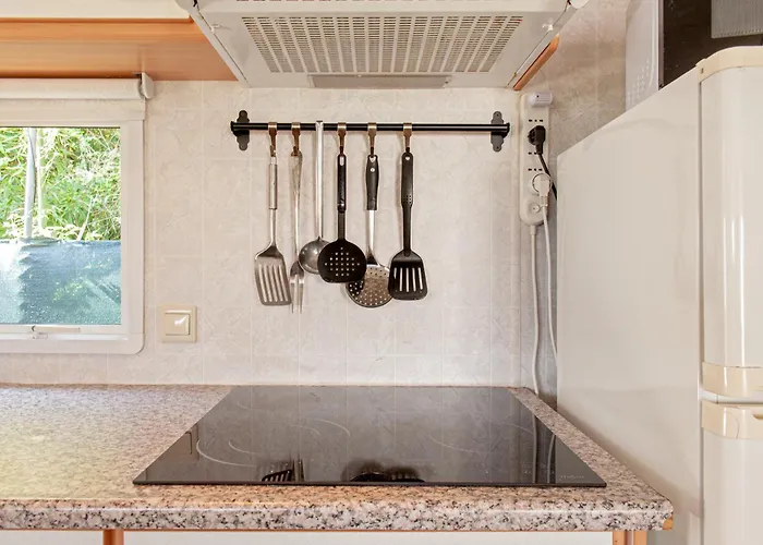 Oasis On The River 2 * Marina Di Pisa